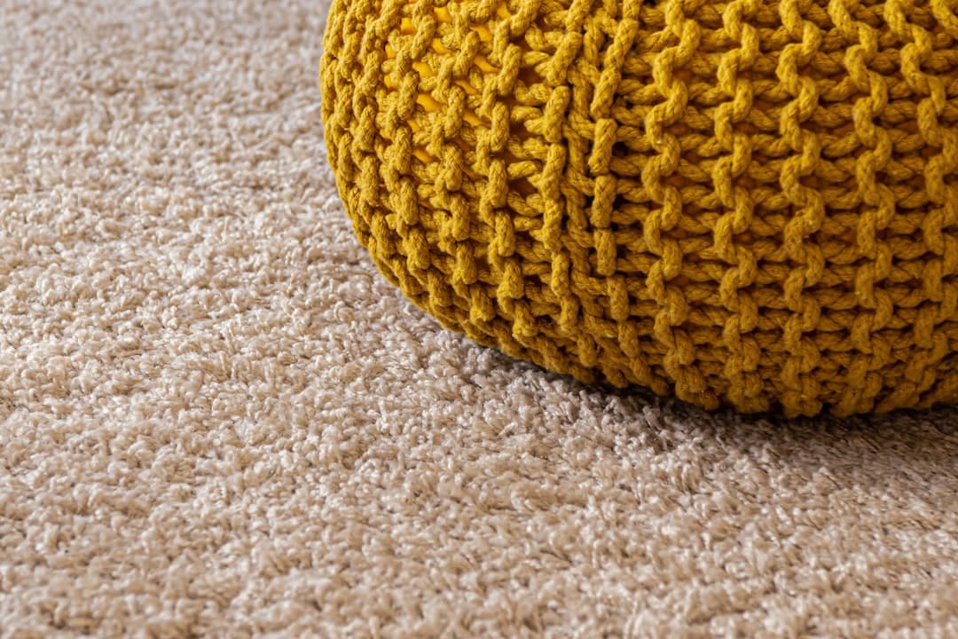 Professional vs. DIY Carpet Cleaning